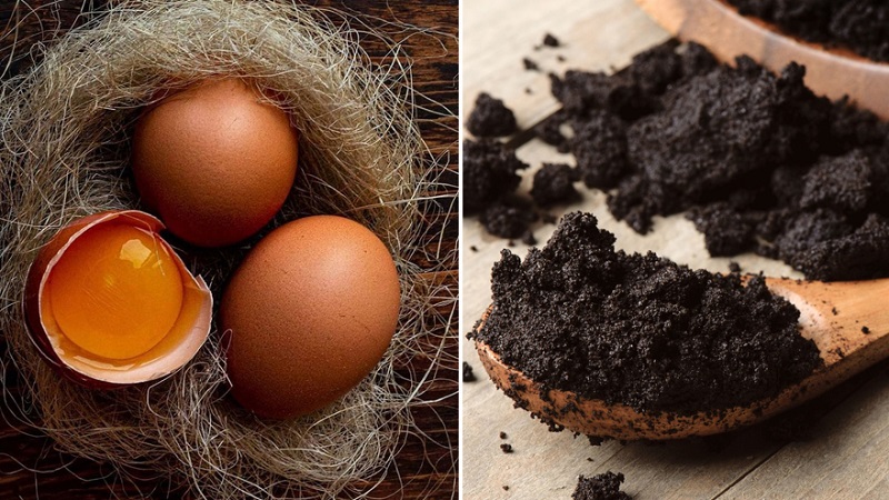 Cải thiện nhũ hoa thâm đen nhanh chóng với bã cà phê và lòng trắng trứng
