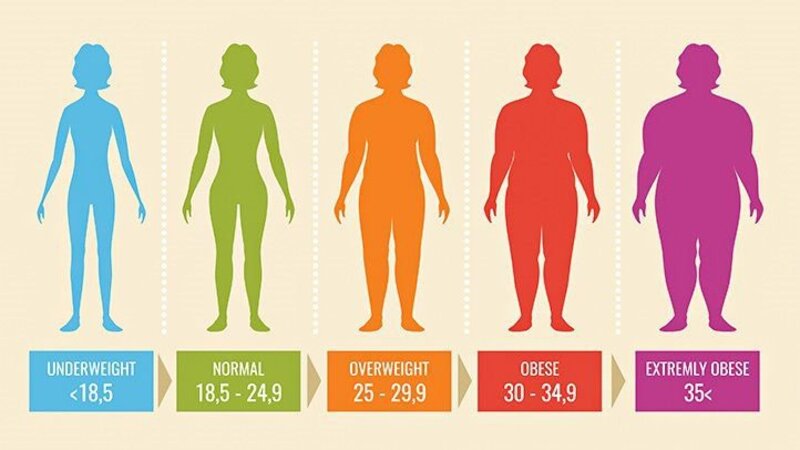 Chỉ số BMI phải nằm trong khoảng 18,5 - 24,9 mới là thân hình chuẩn