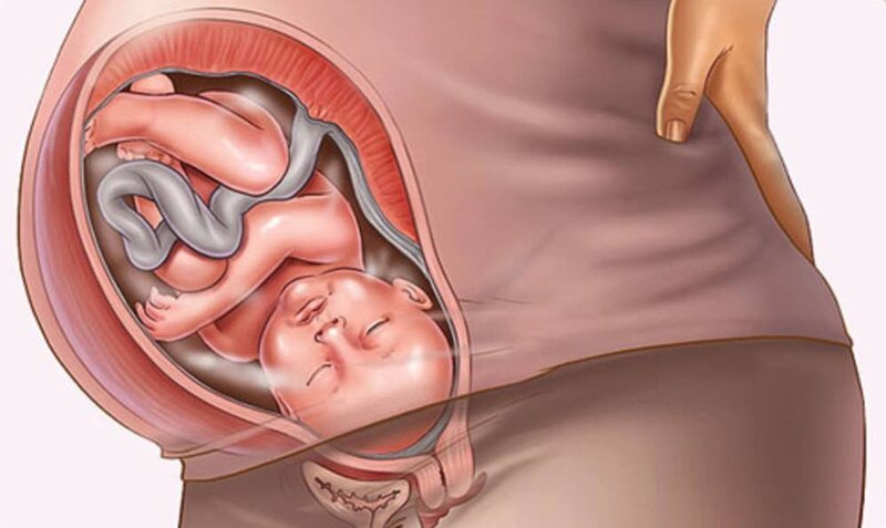Sự phát triển của thai có thể bị ảnh hưởng khi mẹ gặp tình trạng ngứa vùng kín