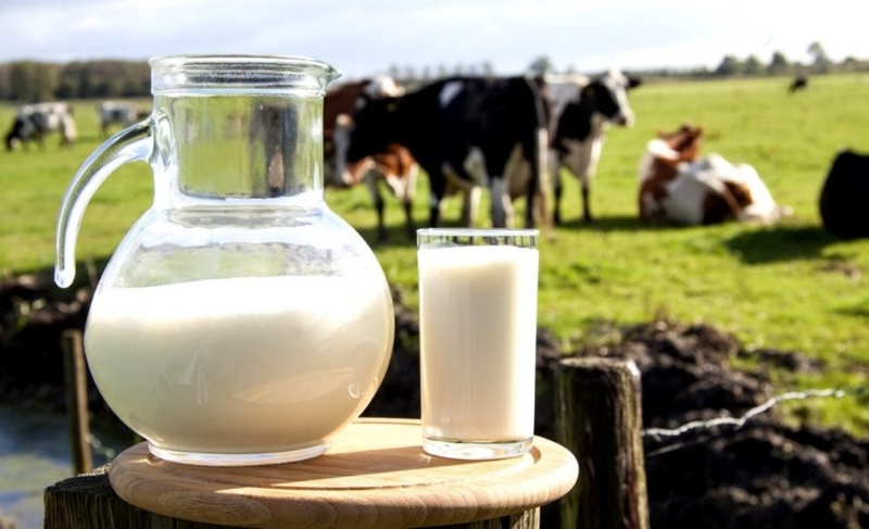 Nên chọn loại sữa bò ít béo để bổ sung dinh dưỡng sau khi cắt mí