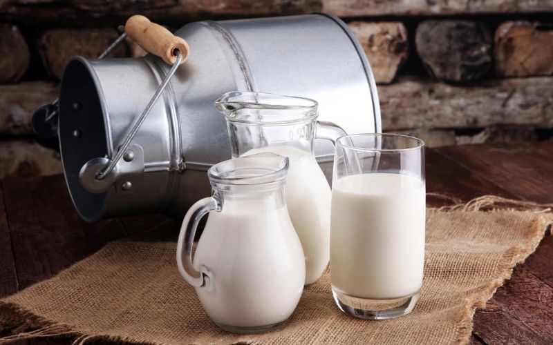 Sữa và các sản phẩm được chế biến từ sữa có giá trị dinh dưỡng cao