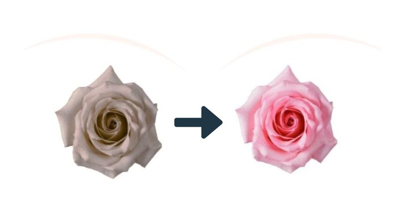 serum làm hồng nhũ hoa giúp trị thâm và cả thiện sắc tố hiệu quả