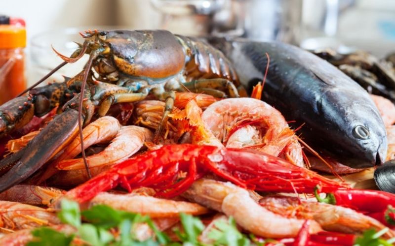 Thực phẩm có biển dễ có chất gây độc và dị ứng