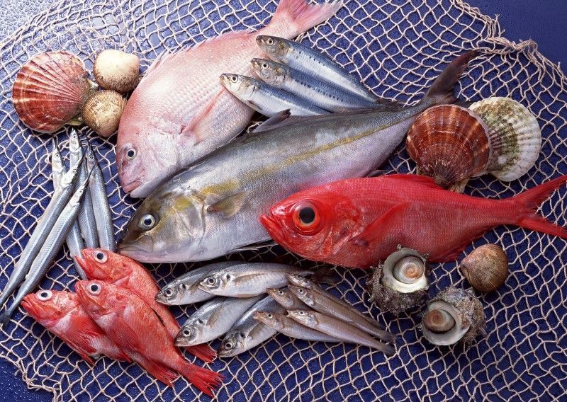 Cá nằm trong nhóm hải sản cần kiêng ăn sau khi cắt mí mắt
