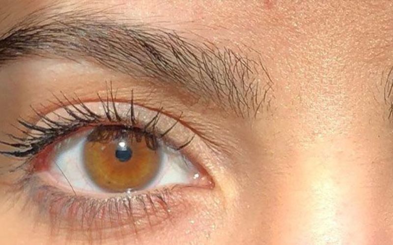 Mắt hổ phách chỉ chiếm 5% dân số trên thế giới