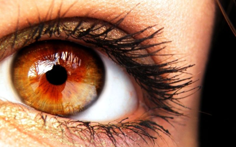Màu mắt do yếu tố melanin trong mống mắt quyết định
