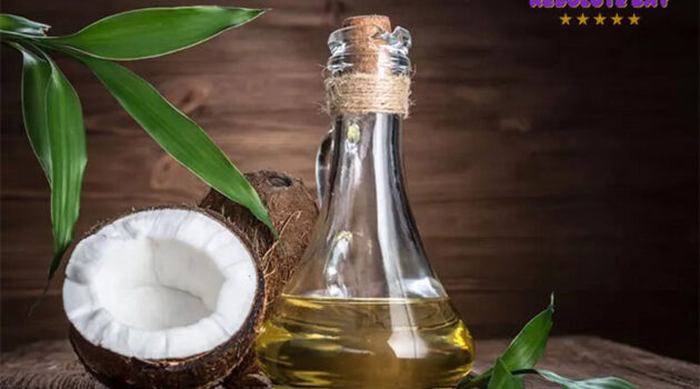 Dầu dừa có những loại nào?