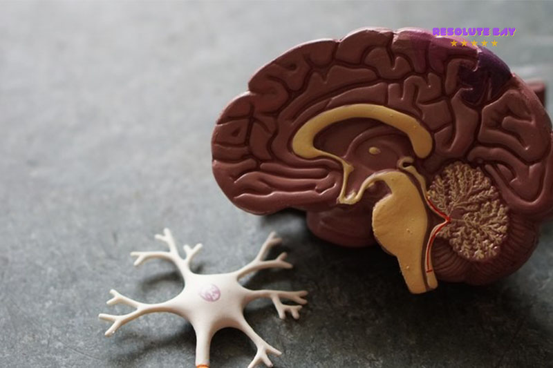 Sa sút trí tuệ và bệnh Alzheimer