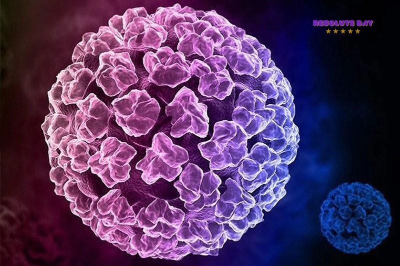 Phân loại và các triệu chứng của HPV