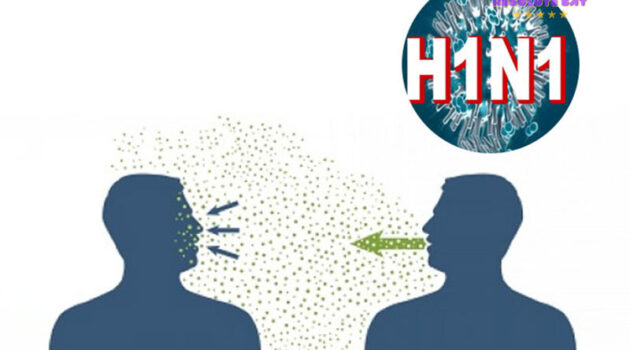 Định nghĩa cúm lợn (H1N1)