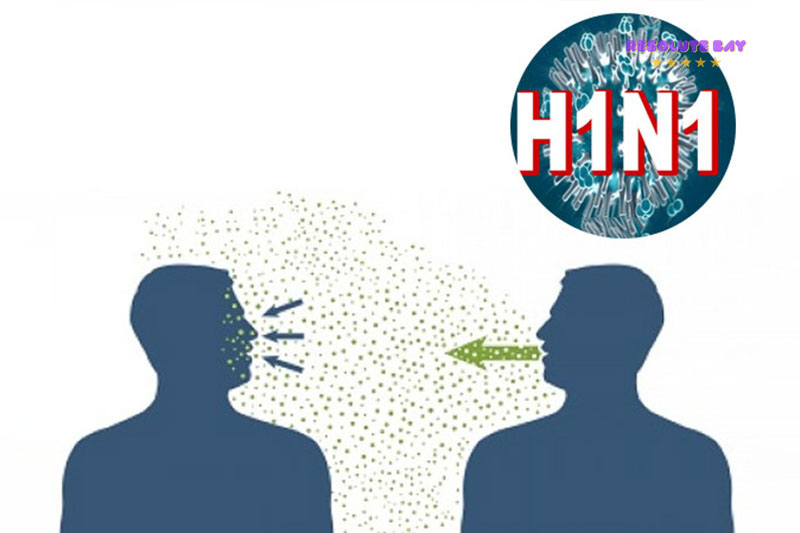 Định nghĩa cúm lợn (H1N1)