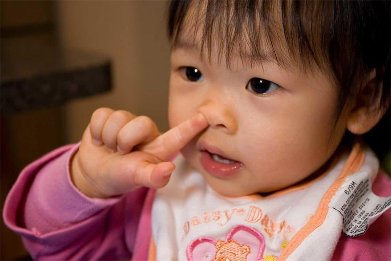 Các thói quen xấu khi bé như ngoáy mũi cũng là nguyên nhân khiến mũi trở nên tẹt, ngắn và thô hơn